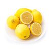 Лимоны Аргентина 