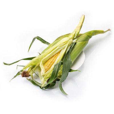 Кукуруза в початке (1 шт.)